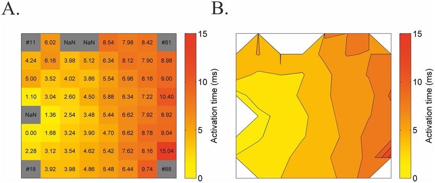 Two images are shown, A and B, and they are examples of how you can use a heat map and set out the data differently. One shows a more structured and numerical layout and the other is more abstract. 